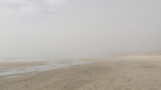 太平洋海岸海岸海边浓雾乳色的烟雾薄雾含青雾视频