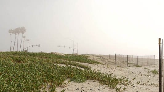 红绿灯信号灯美国加利福尼亚州迷雾海滩公路旁在海岸海洋视频