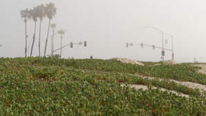 红绿灯信号灯美国加利福尼亚州迷雾海滩公路旁在海岸海洋18秒视频