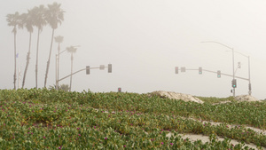 红绿灯信号灯美国加利福尼亚州迷雾海滩公路旁在海岸海洋13秒视频