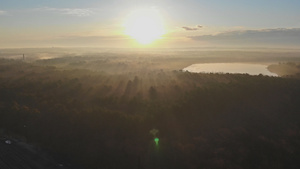 日出时雾雾鸟在清晨看到雾的景象19秒视频