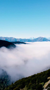 航拍高山垭口雪山云海自然风光视频