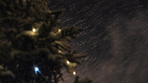夜间雪暴和圣诞树32秒视频