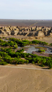 新疆戈壁绿洲大峡谷视频