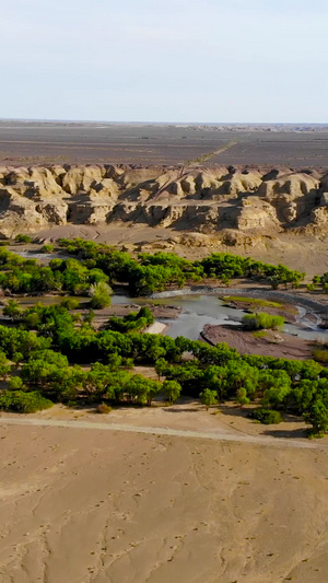 新疆戈壁绿洲大峡谷23秒视频