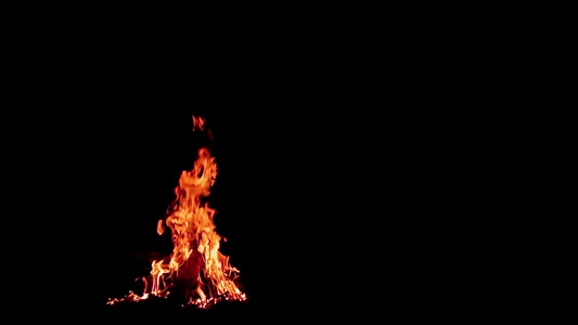 黑色背景的夜间森林野火视频