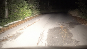 在偏远夜间农村公路上驾驶26秒视频