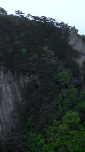 航拍湖北天堂寨山顶自然风光视频