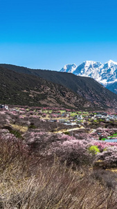 林芝雅鲁藏布江景区轨迹延时林芝旅游季视频