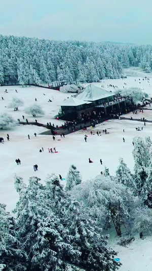 重庆武隆仙女山大草原滑雪场冬季运动96秒视频