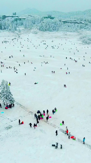 重庆武隆仙女山大草原滑雪场5A景点96秒视频