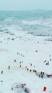 重庆武隆仙女山大草原滑雪场雪地高原视频