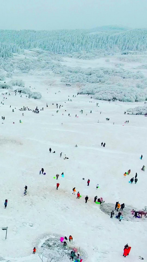 重庆武隆仙女山大草原滑雪场雪地高原96秒视频