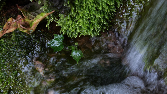 河水溪流山泉河流山水视频