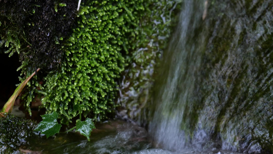 河水溪流山泉河流山水视频