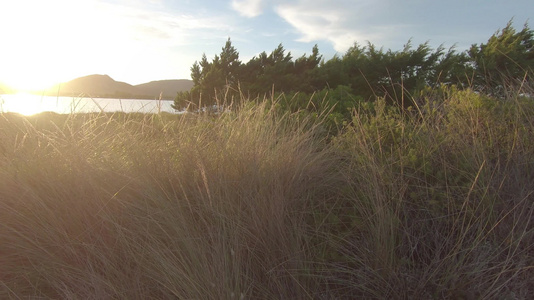 日落时在海边环礁湖上拍的电影里面有草木和山丘背光下射出视频