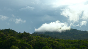 山林森林山顶云雾延时合集4k30秒视频