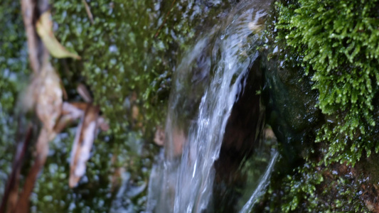 河水溪流山泉河流山水视频