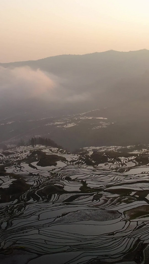 航拍红河哈尼族梯田日出风光视频红河哈尼族彝族自治州55秒视频