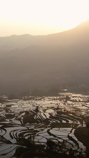 航拍红河哈尼族梯田日出风光视频旅游度假55秒视频