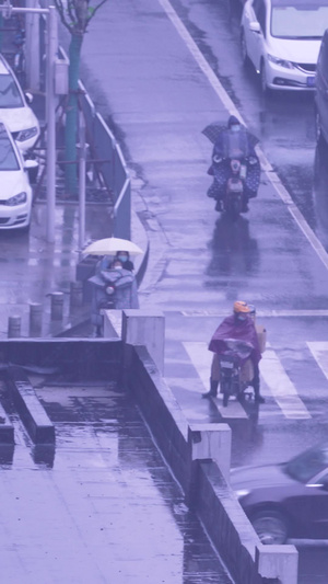 城市雨天交通道路人行横道路口街景素材交通素材50秒视频