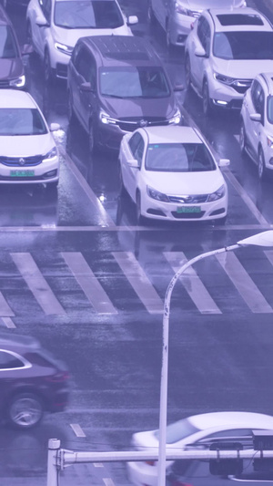 城市雨天交通道路人行横道路口街景素材斑马线50秒视频