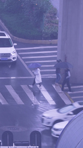 城市雨天交通道路人行横道路口街景素材城市素材视频