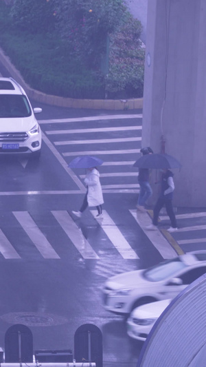 城市雨天交通道路人行横道路口街景素材城市素材50秒视频