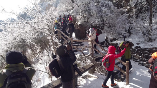 大量游客登山赏雪看雾凇雪景奇观视频