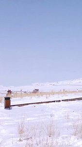 冬日新疆5A景区赛里木湖雪景自然风光视频