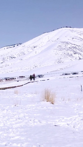 冬日新疆5A景区赛里木湖雪景自然风光视频