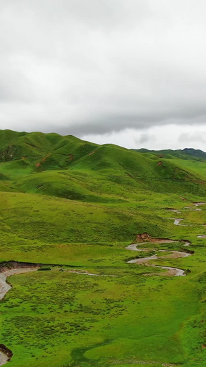 航拍绿色山脉中蜿蜒的河流旅游目的地50秒视频