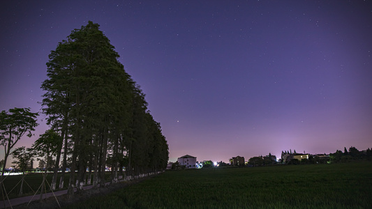 8K延时拍摄夜晚行道树旁的星空视频