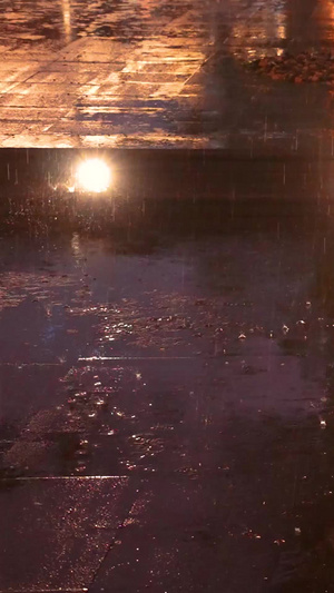 慢镜头升格拍摄素材雨天夜晚路灯下的雨滴雨水特写慢动作52秒视频