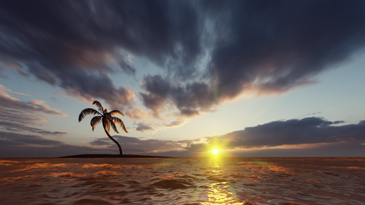 岛上海中岛的棕榈树上有美丽的天空在幕后照耀视频