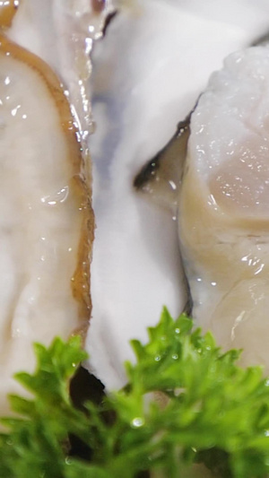 肥美海蛎子海蛎子果肉32秒视频