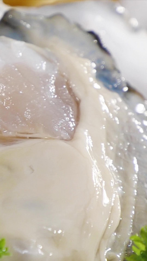 肥美海蛎子海产品32秒视频