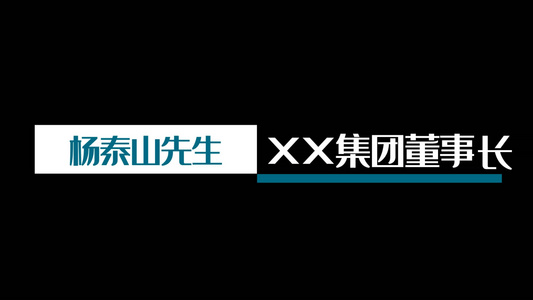 新闻采访人物介绍字幕条视频