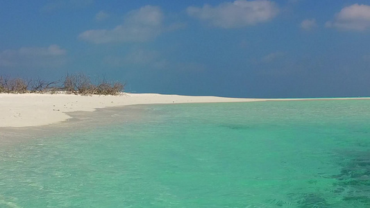 棕榈附近蓝环礁和白沙背景的宁静海滨海滩野生生物的温暖视频