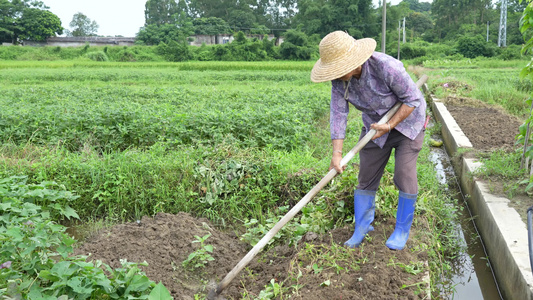 农民耕作实拍视频