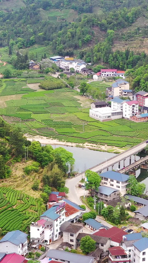 航拍武夷山茶园28秒视频