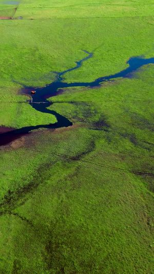 5k航拍鸟瞰美丽草原上曲折蜿蜒的河流九曲十八湾超高清24秒视频