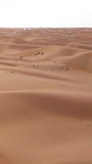 实拍宁夏沙坡头5A景区沙漠道路5A景点17秒视频