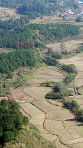 航拍农村春耕种植地现代农业视频