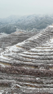 高清竖屏航拍桂林资源下雪后梯田景色视频