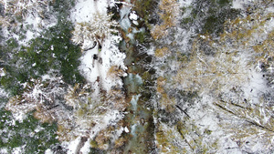 航拍雪中的森林溪水视频63秒视频