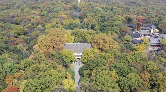 南京灵谷寺古建筑秋季风光视频