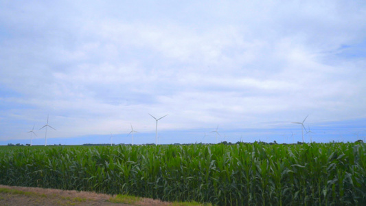 绿色田地上的风力涡轮机农场[佃户]视频