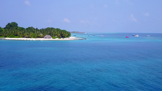 蓝绿海和白沙底蓝色背景的海滩野生生物BlueGreen视频