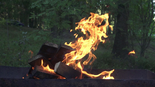 以木柴烧作为本底夏季性烹饪食物视频